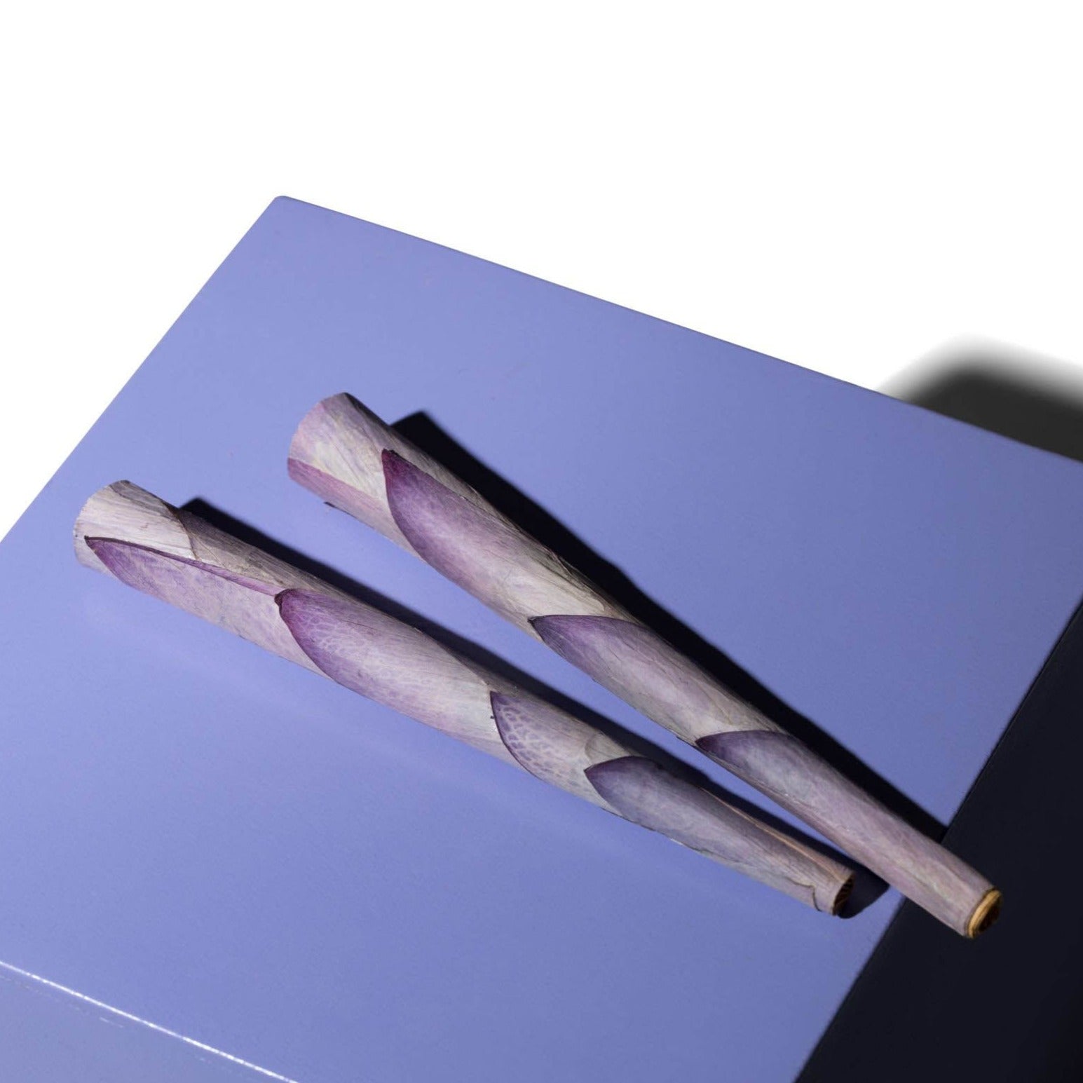 Lotus Petal King Cones (2-Pack)